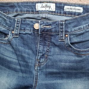 Daytrip Lynx High Rise Skinny Jeans